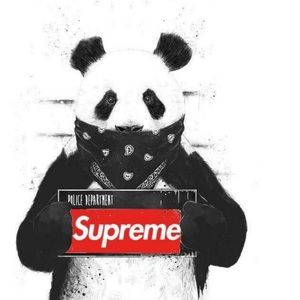 Meet your Posher, Jackson